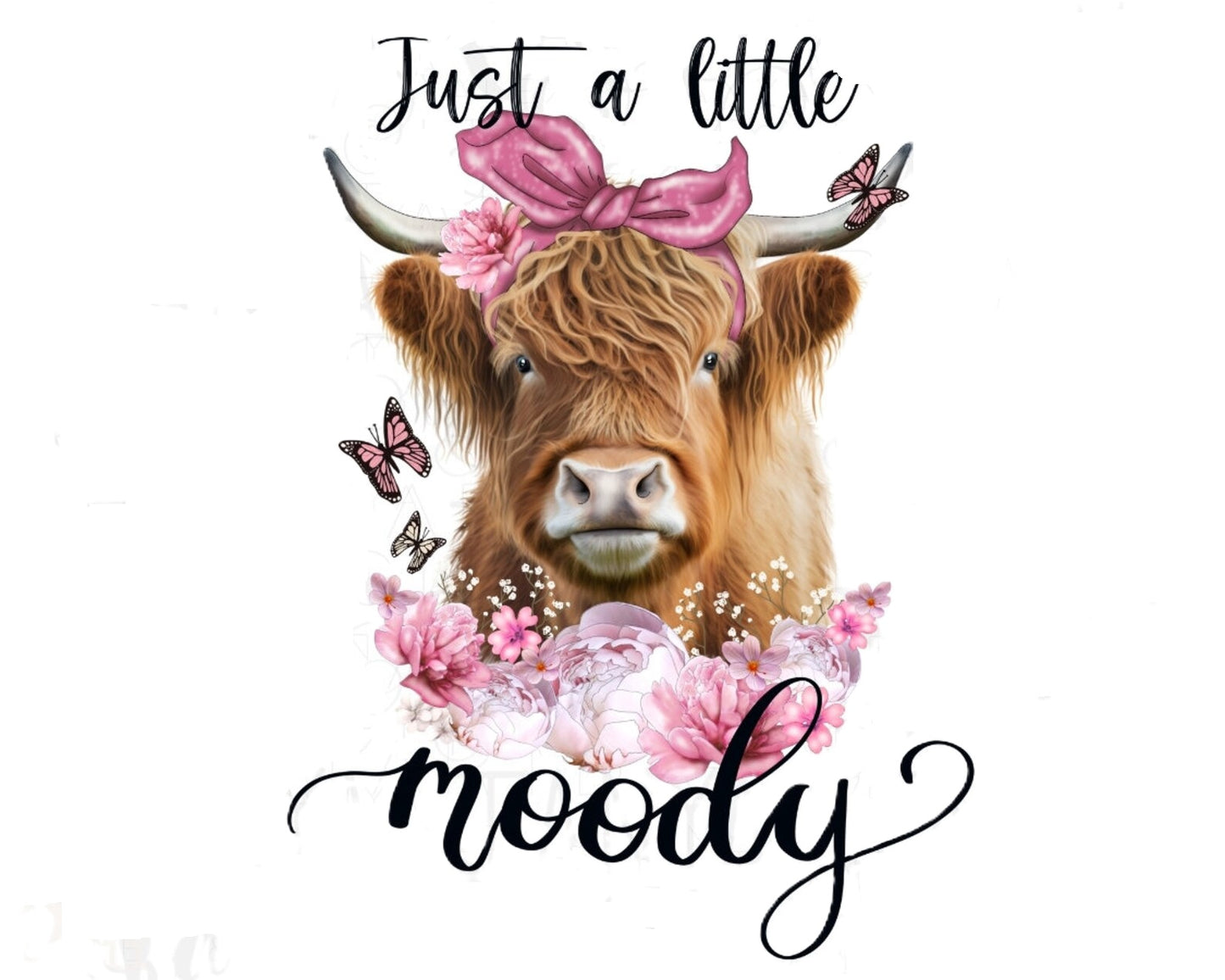 Highland Cow Just A Little Moody