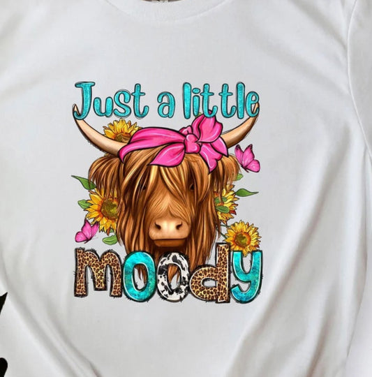 Highland Cow Just A Little Moody
