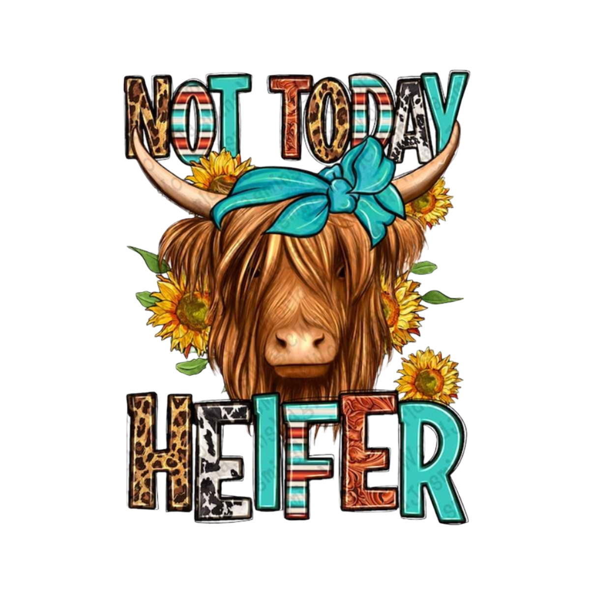 Not Today Heifer Highland Cow